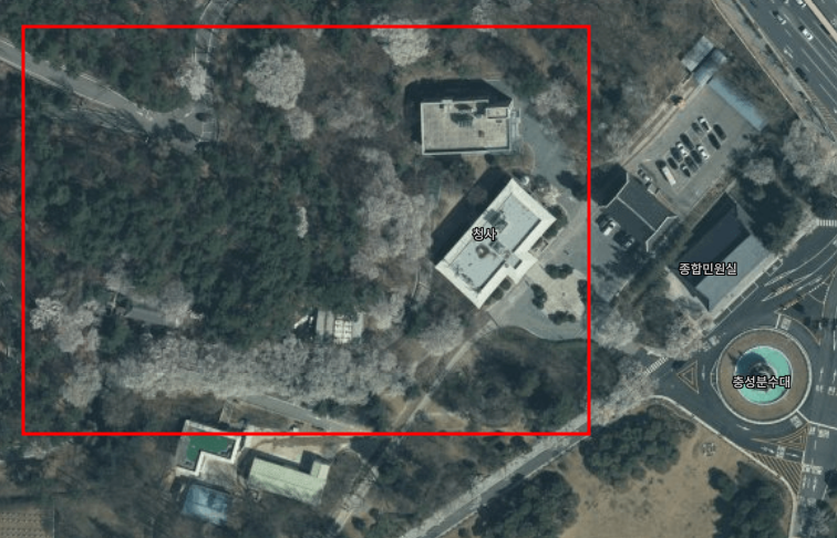 국립현충원-벚꽃명소