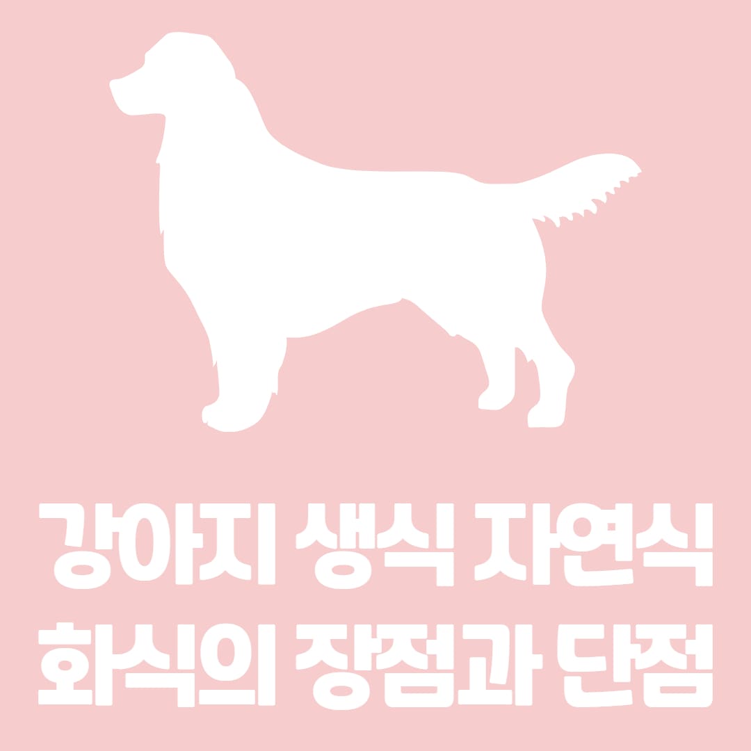 강아지 생식 자연식 화식 좋은 점과 위험성 알아보기