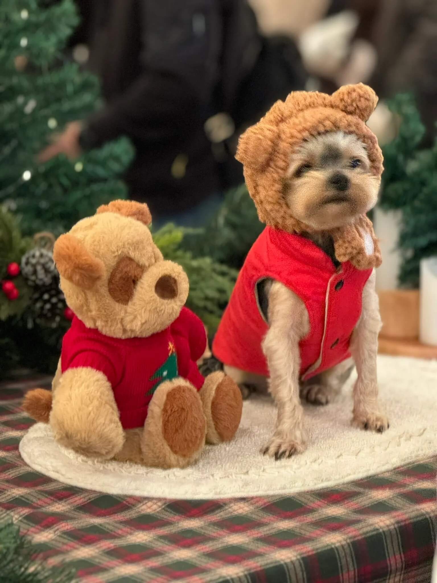 크리스마스 빌리지 부산 2025 영화의전당 산타마을