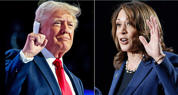 미국 대선 2024 선거인단 선거일정 알아보기