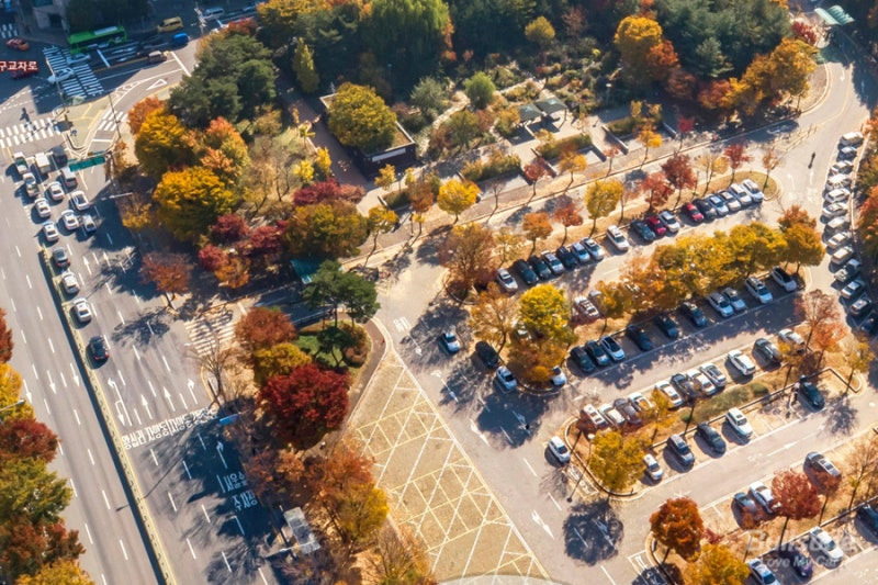 하동 구례 벚꽃 여행코스 확인하러 가기