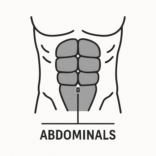 복근 관련 이미지