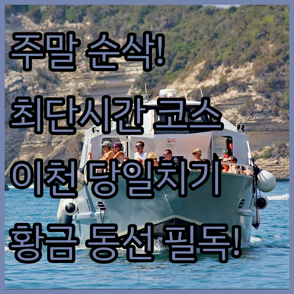 주말 순삭 보장 바쁜 당신을 위한 서..
