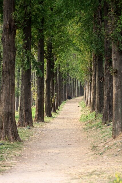 6월 가볼 만한 국내여행지