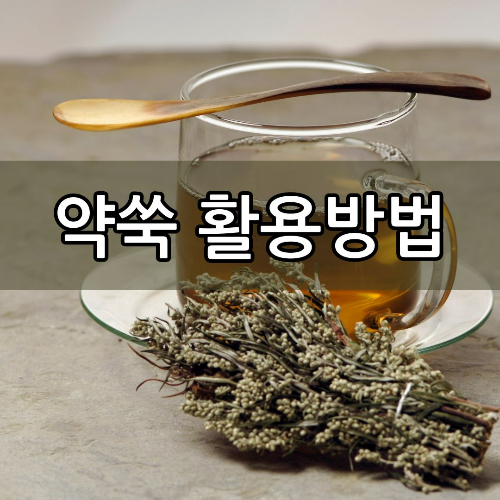 약쑥 활용법