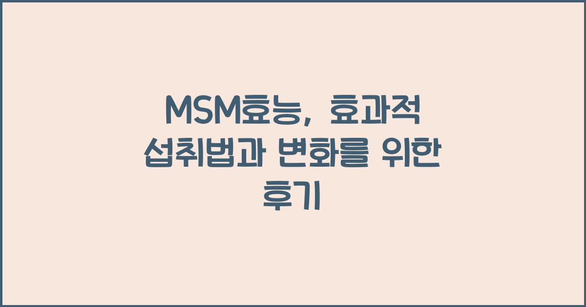 MSM효능