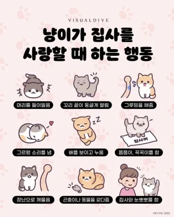 고양이 행동 분석 교정 언어 의미_2
