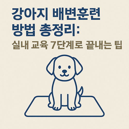 강아지-배변훈련-방법-총정리-실내-교육-7단계로-끝내는-팁