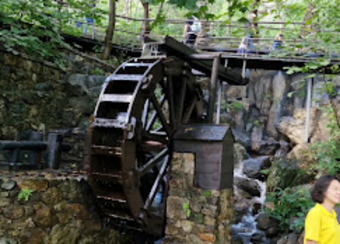 화담숲 예약 팁 & 피크 시즌 방문 요령 총정리