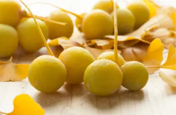 은행 열매 가격 및 효능, 영양성분과 부작용