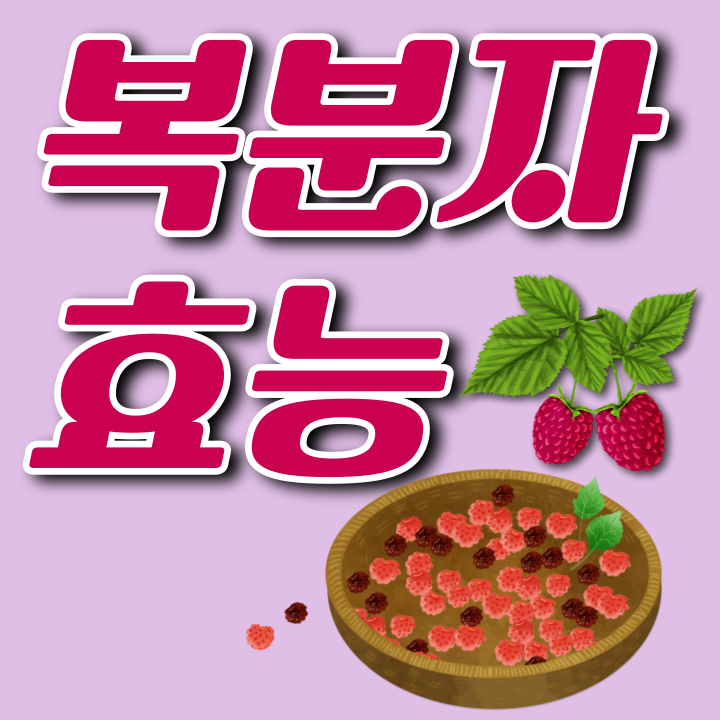 복분자의 효능
