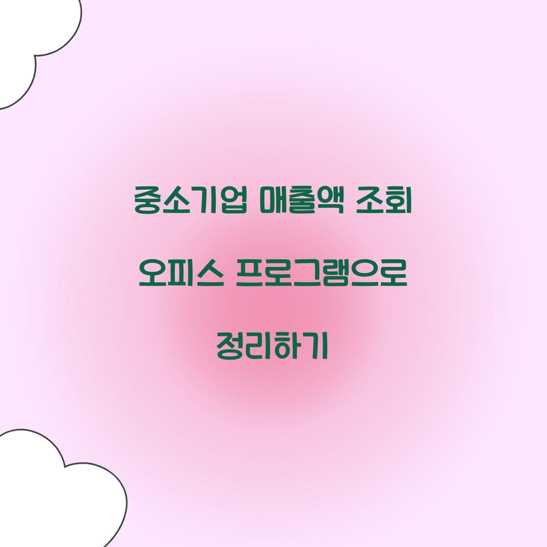 중소기업 매출액 조회 오피스 프로그램으로 정리하기