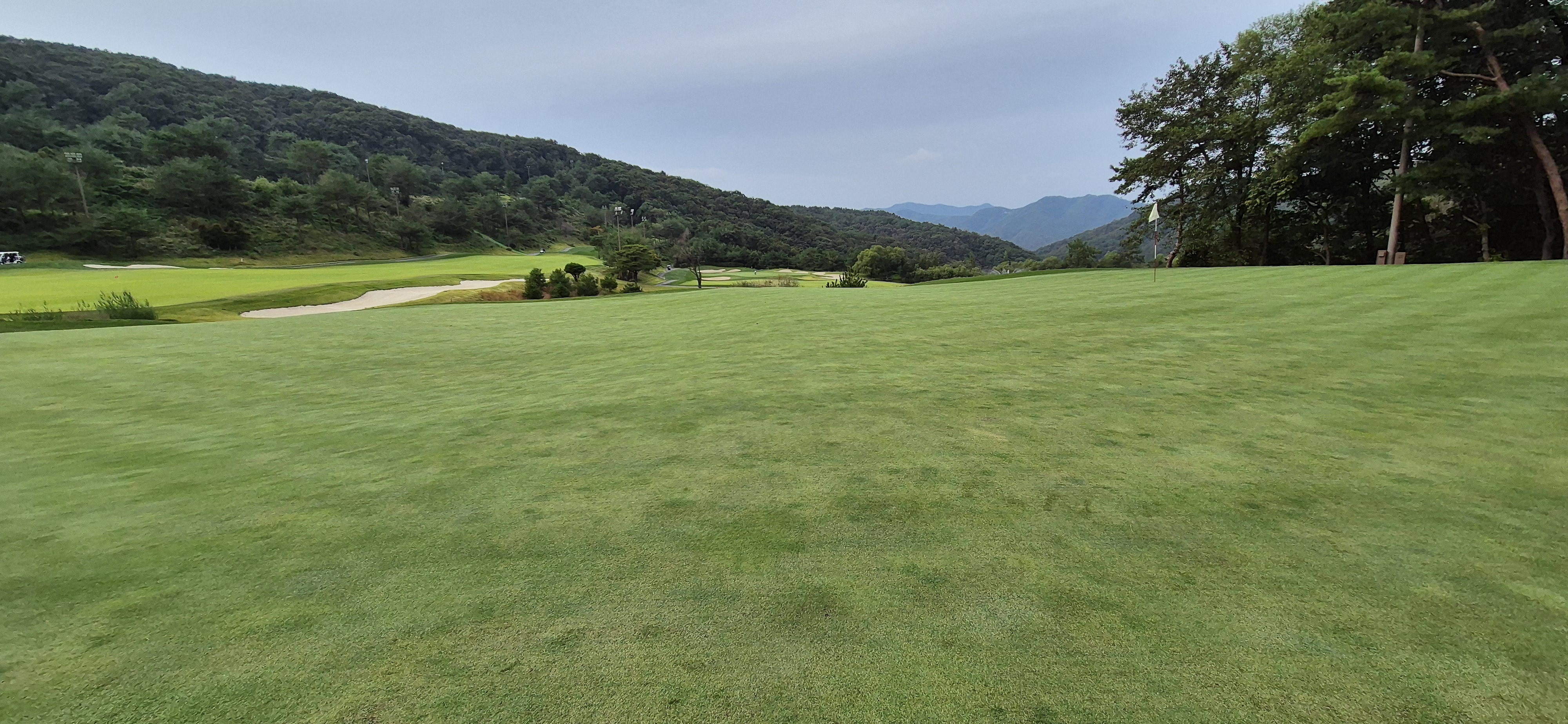 소노팰리체cc이스트