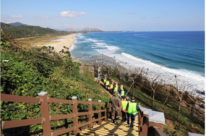 DMZ IMAGE