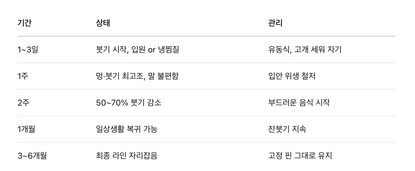 회복 과정 & 주의사항
