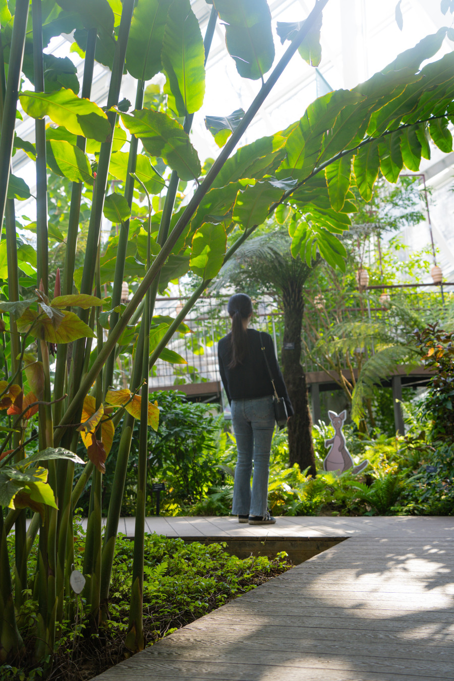 영흥 수목원 꽃 구경