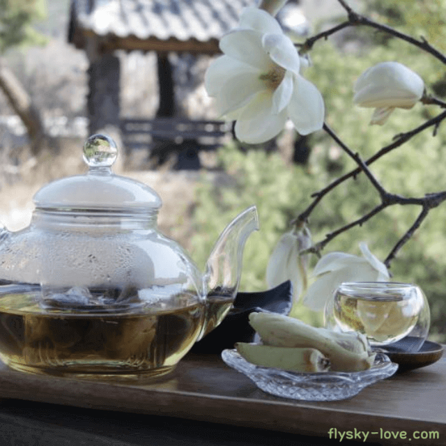 비염에 효과적인 목련 꽃차 효능