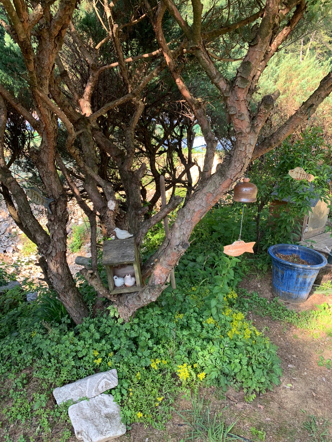 양평 소풍가는 날 펜션 