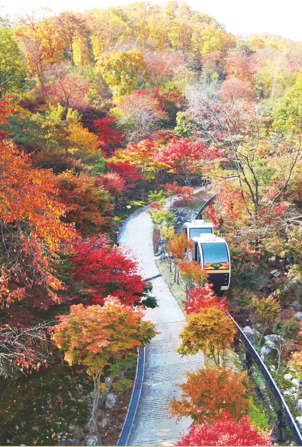 2025 화담숲 단풍 예약 모노레일까지 완벽 가이드