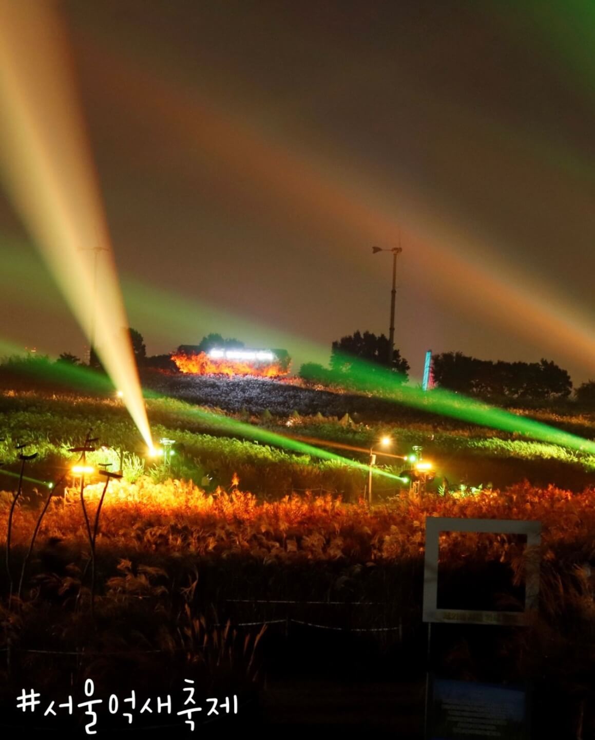 하늘공원 억새축제기간