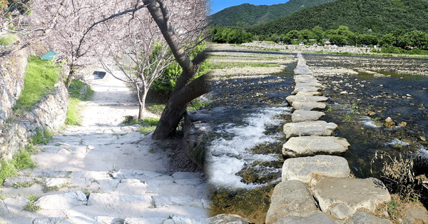 고독한 시간이 두뇌를 회복시키는 이유