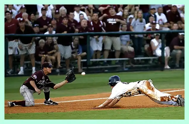 야구 프리미어 12 명단 최종