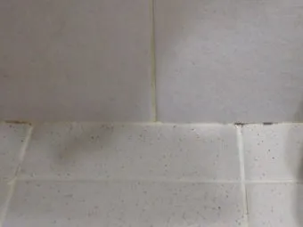 욕실 곰팡이 락스 희석비율과 안전수칙 환기방법_18