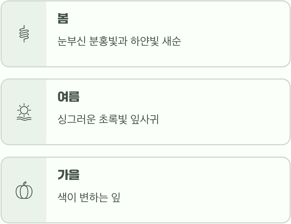 베란다를 유럽 정원으로 만드는 마법