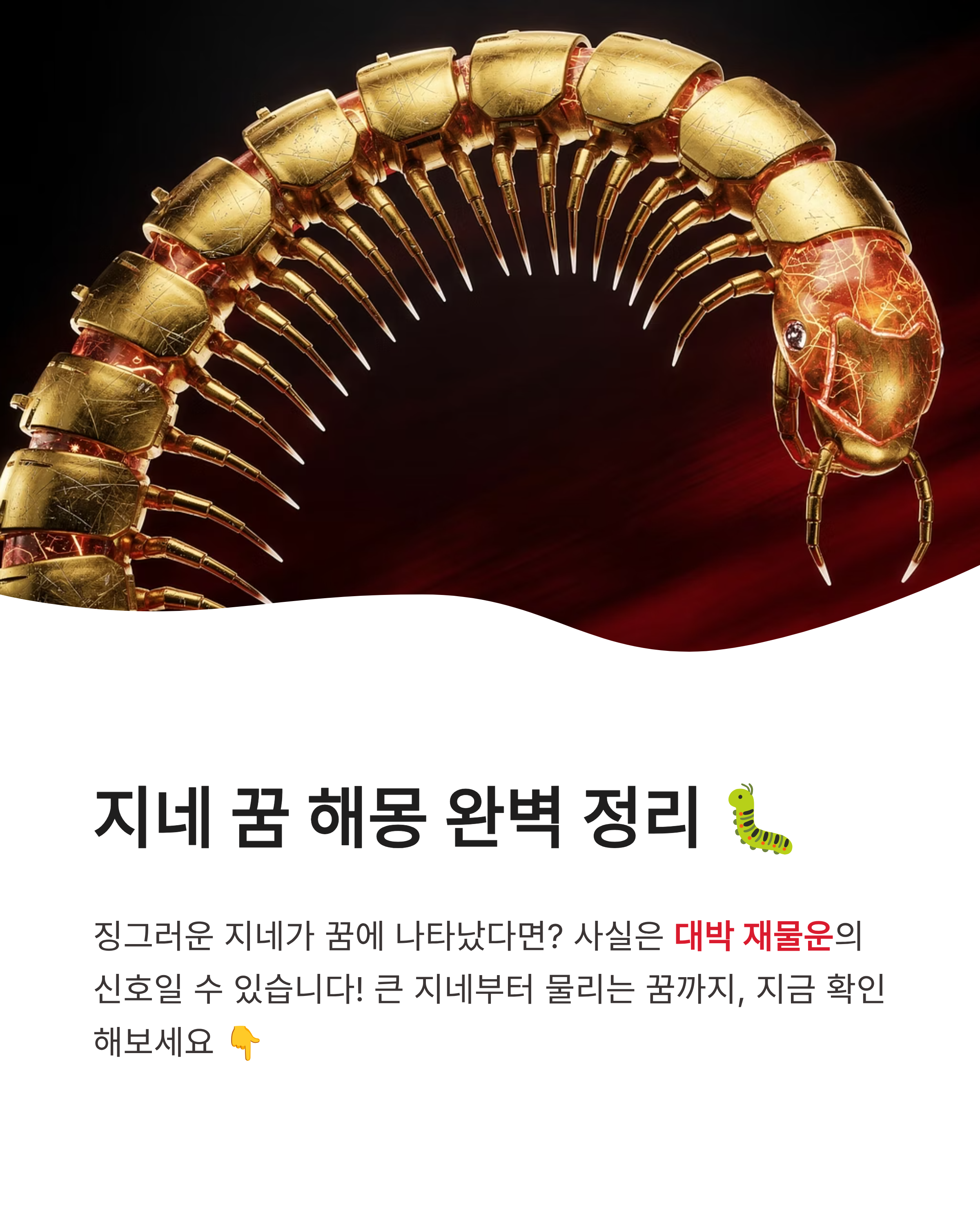 지네 꿈 해몽, 큰 지네에게 물리는 꿈부터 도망가는 꿈까지! 행운의 징조일까?