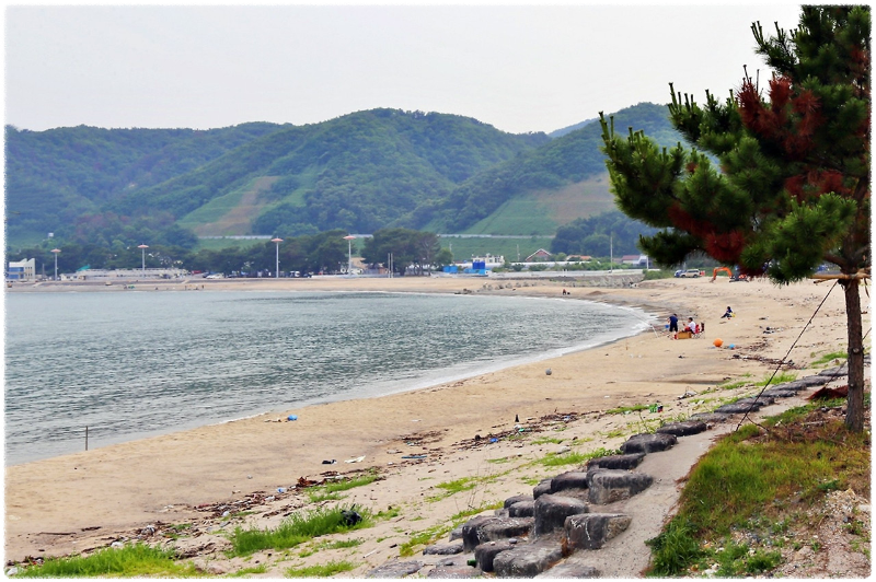 관성솔밭해변
