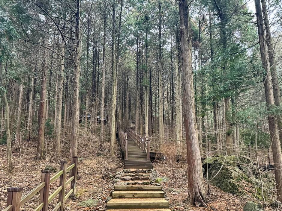 경주 가볼만한곳 베스트 10