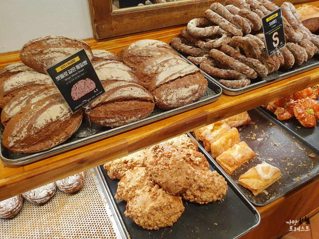 대전역 성심당 빵집투어