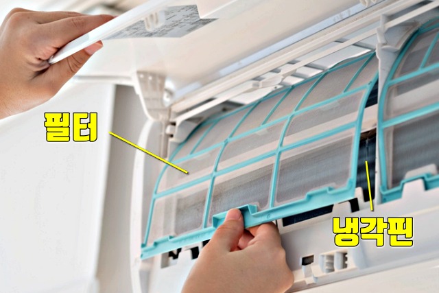 곰팡이, 세균, 에어컨 청소, 레지오넬라 폐렴 증상, 냉방병, 건강