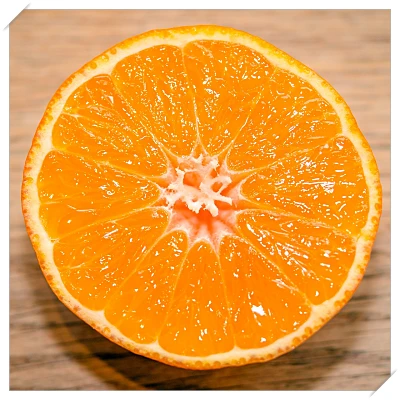 식도염 좋은 음식