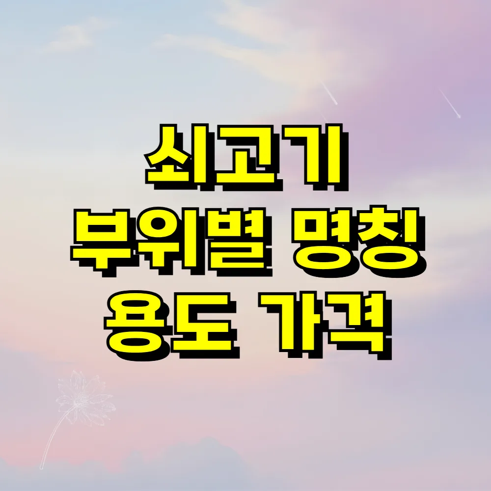 쇠고기 부위별 명칭 용도 가격