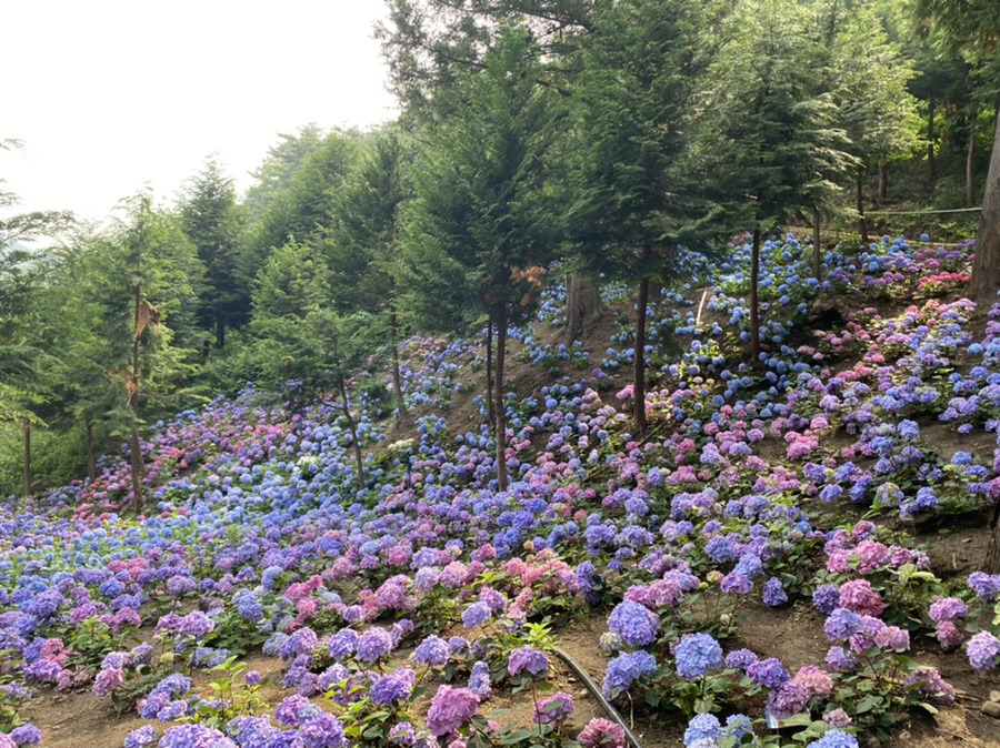 보성 읍내 추천 주거지 TOP 5— 실제 정착 기준으로 고른, 생활 만족도가 높은 보성읍 ‘살기 좋은 동네’ 정리