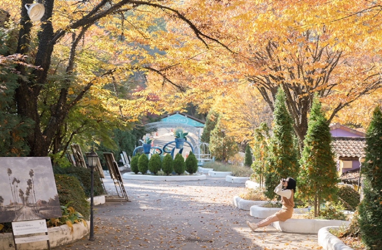 청도 프로방스