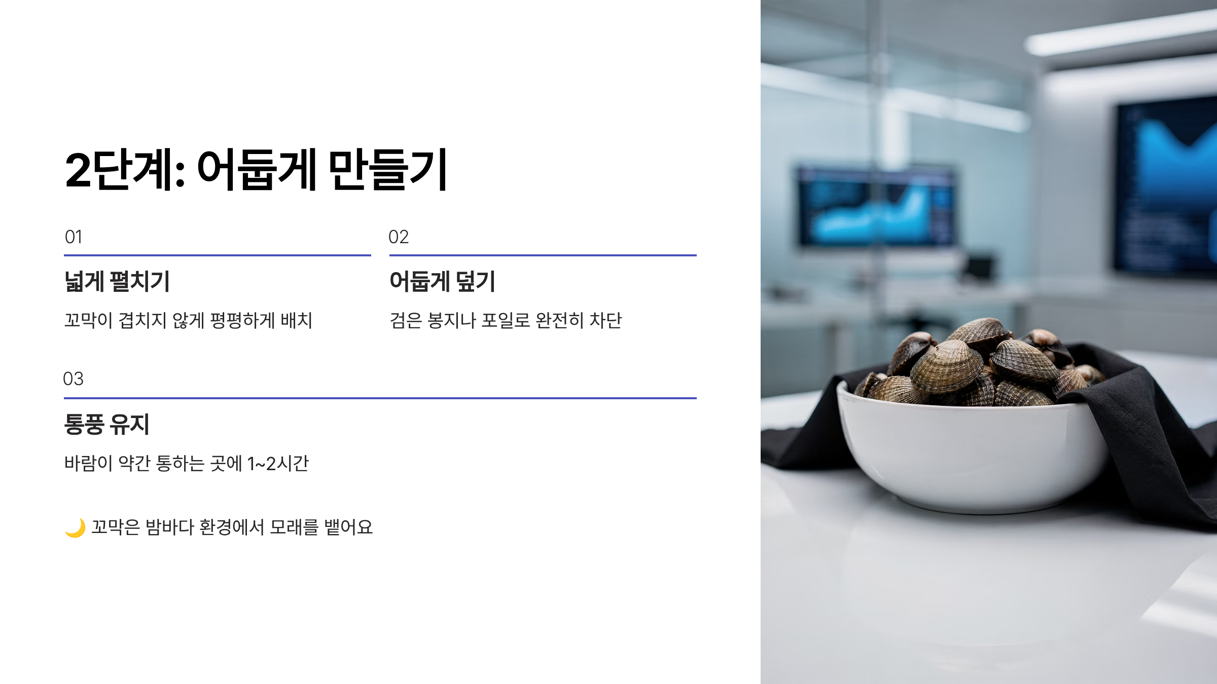 꼬막 해감 어둡게 만들기