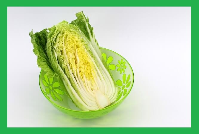 그릇-안-배추-반쪽