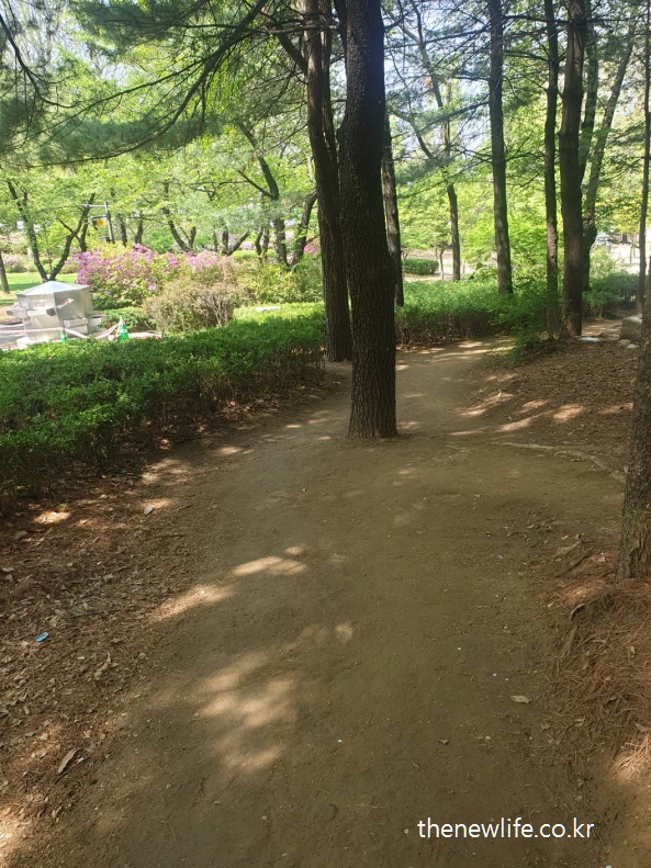 Barefoot walking trail improving blood pressure and cholesterol levels&rarr; 맨발 걷기가 혈압과 콜레스테롤 개선에 도움을 주는 흙길 코스