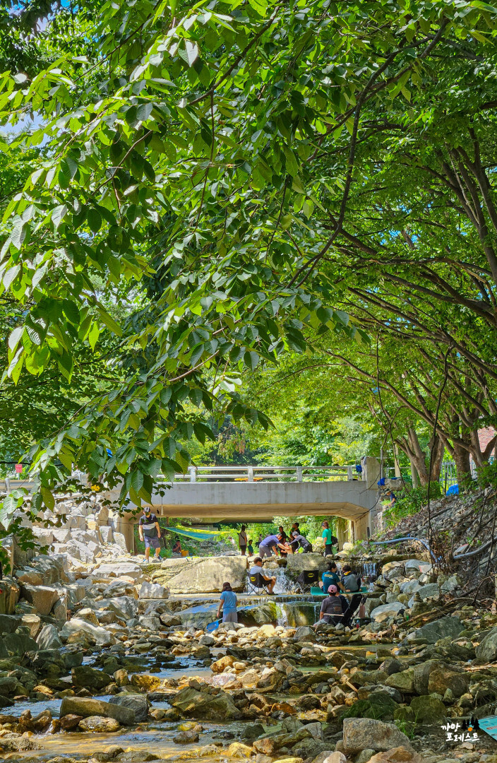 용인 고기리 계곡 여름 모습