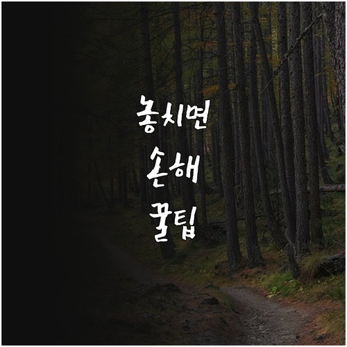 70만원 지원 2025 과천시 항암 ..