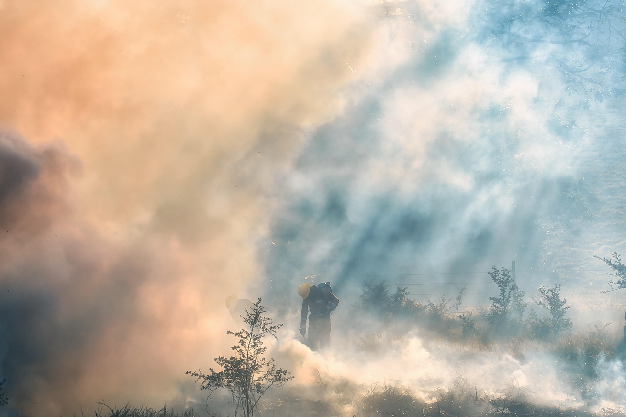 의성 안동 산청 울산 청송 경북 산불 화재 현황