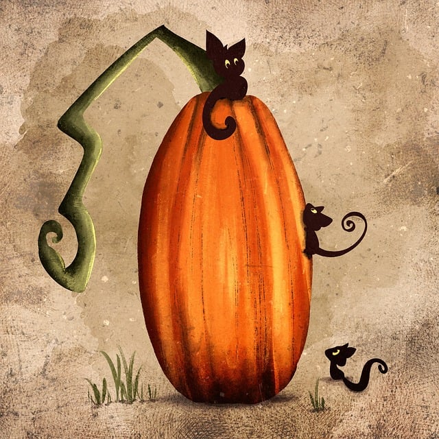 고양이를 구조하는 꿈 해몽 풀이