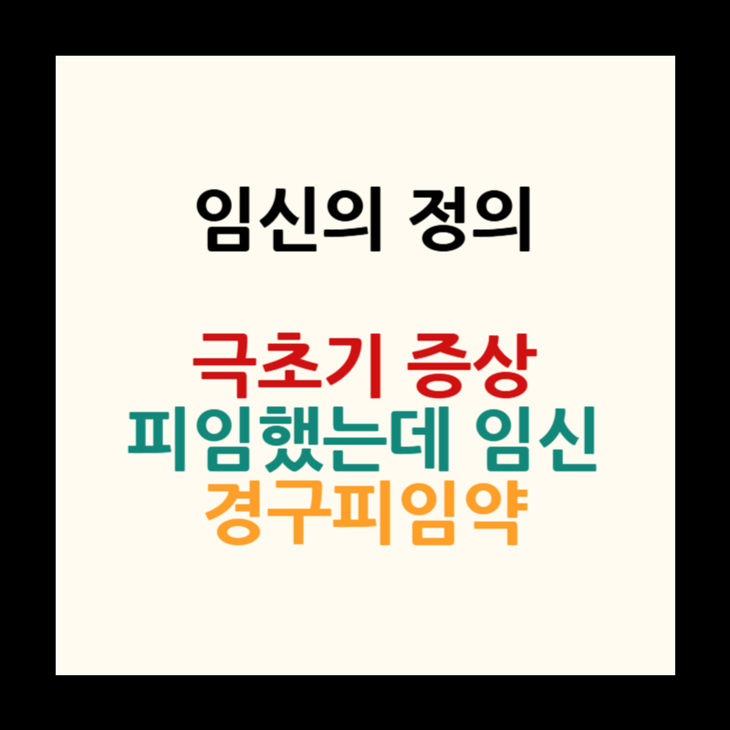 임신의 정의 임신극초기증상