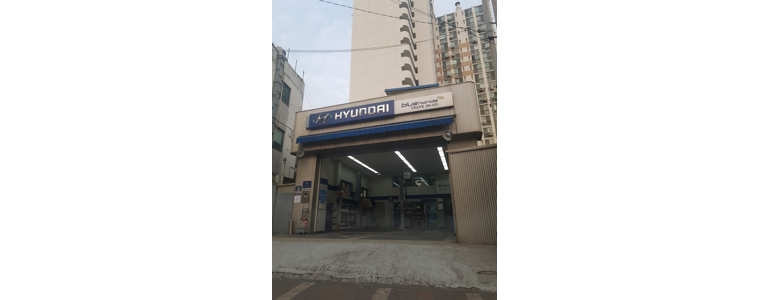 서울 금천구 블루핸즈