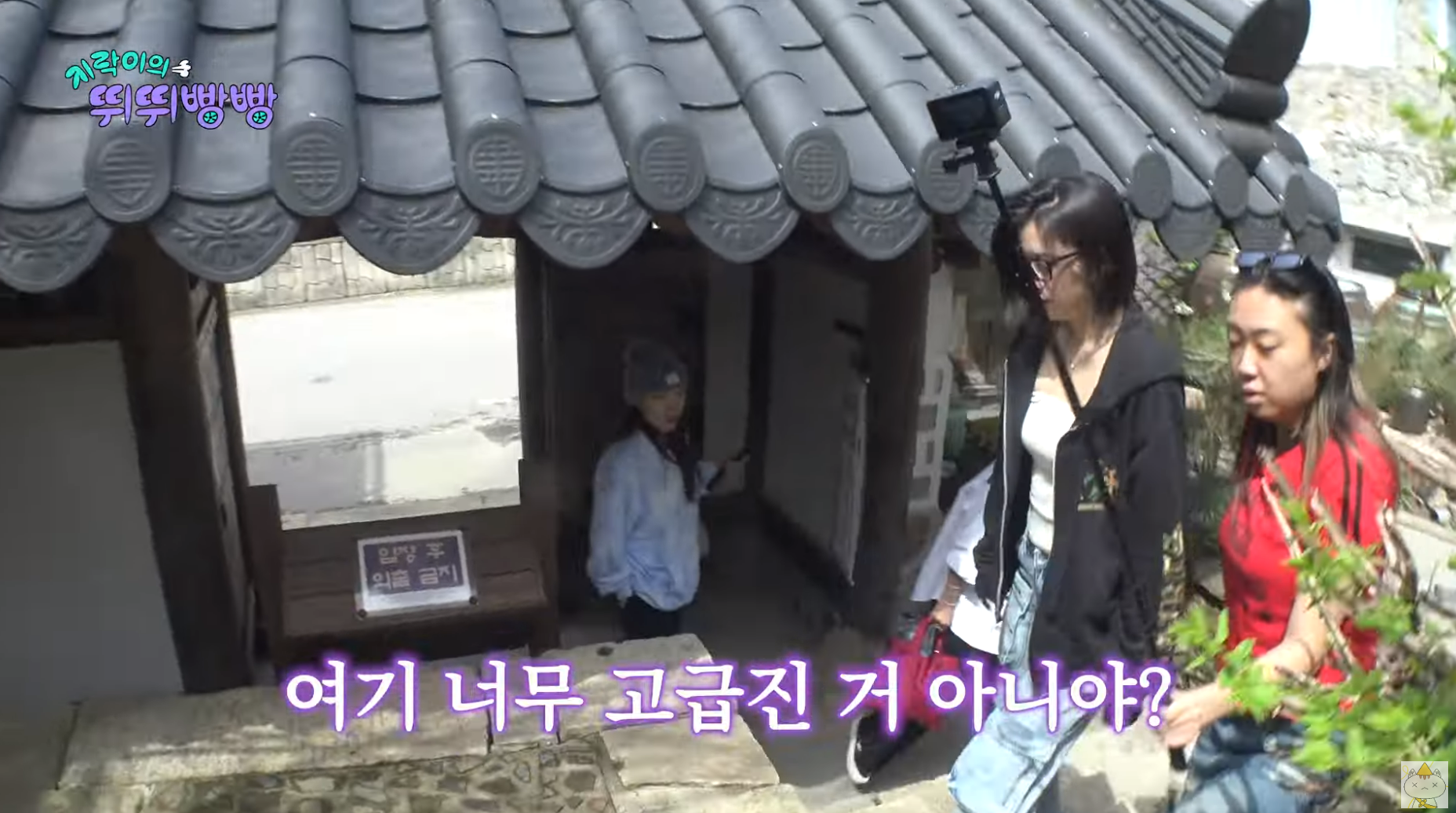 ์ถ์ฒ ๋๋ฌดํฅ๊ธฐํ์ฆ๋ง