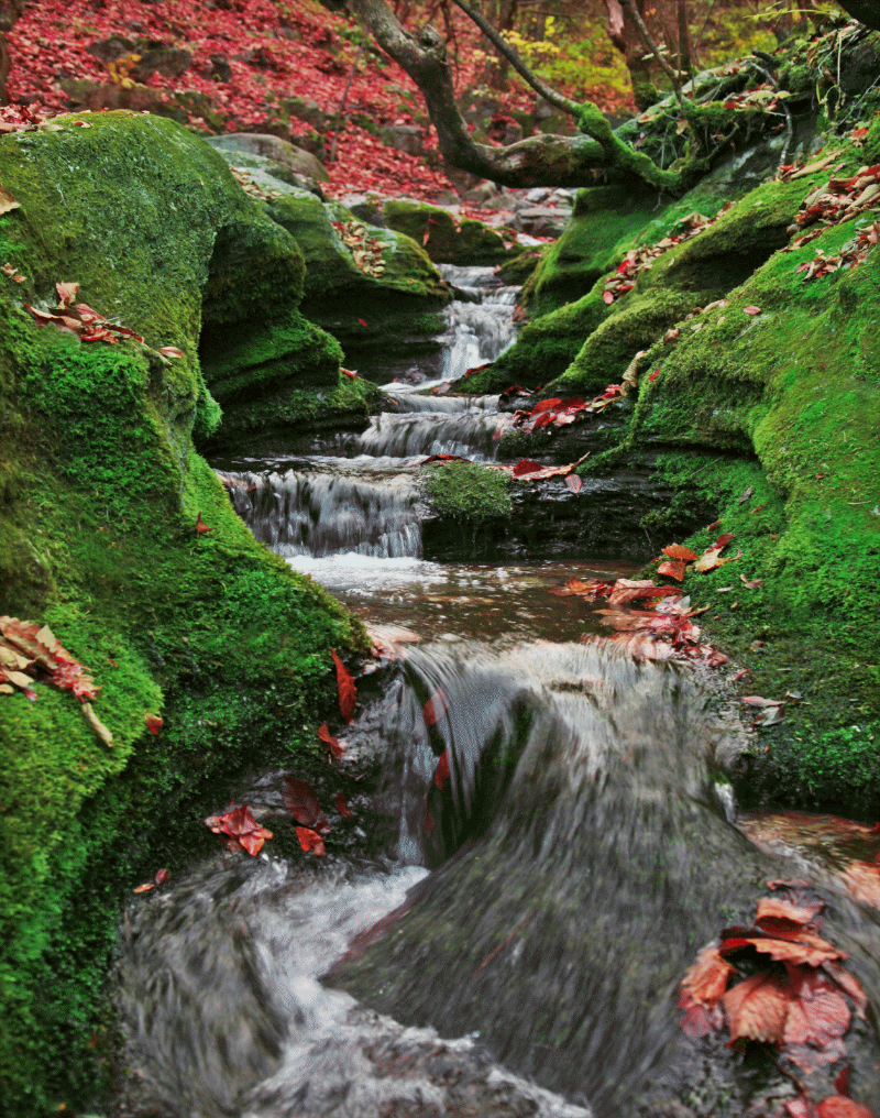 검룡소. 물이 흐른다.