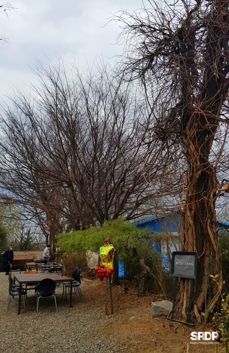 미사장-하남-미사-카페-숲속-카페-캠핑-불멍-카페-하남미사-가볼만한곳