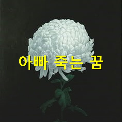 검은-배경에-하얀-국화-한송이